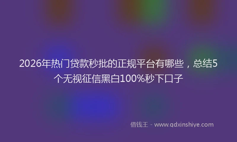 2026年热门贷款秒批的正规平台有哪些，总结5个无视征信黑白100%秒下口子