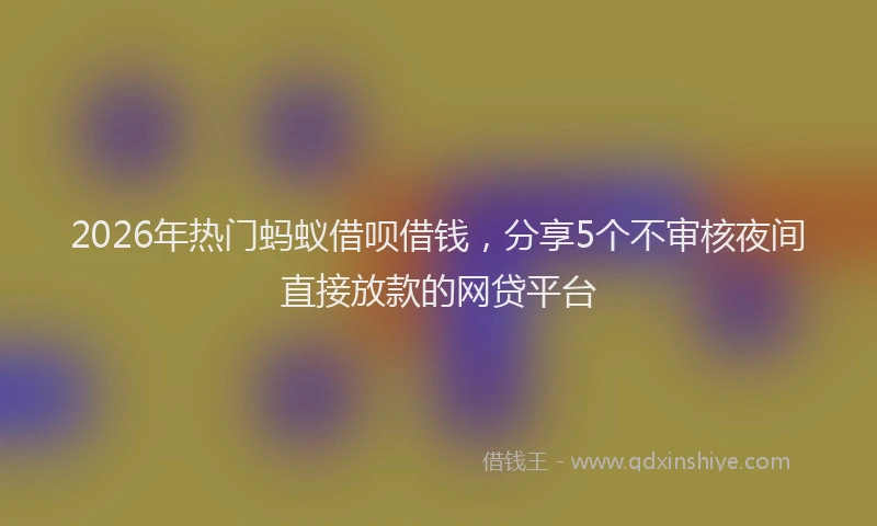 2026年热门蚂蚁借呗借钱，分享5个不审核夜间直接放款的网贷平台