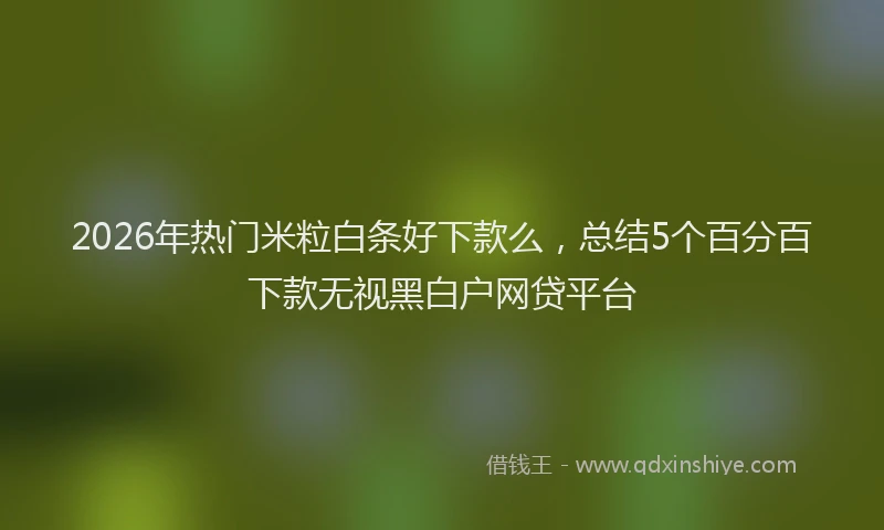 2026年热门米粒白条好下款么，总结5个百分百下款无视黑白户网贷平台