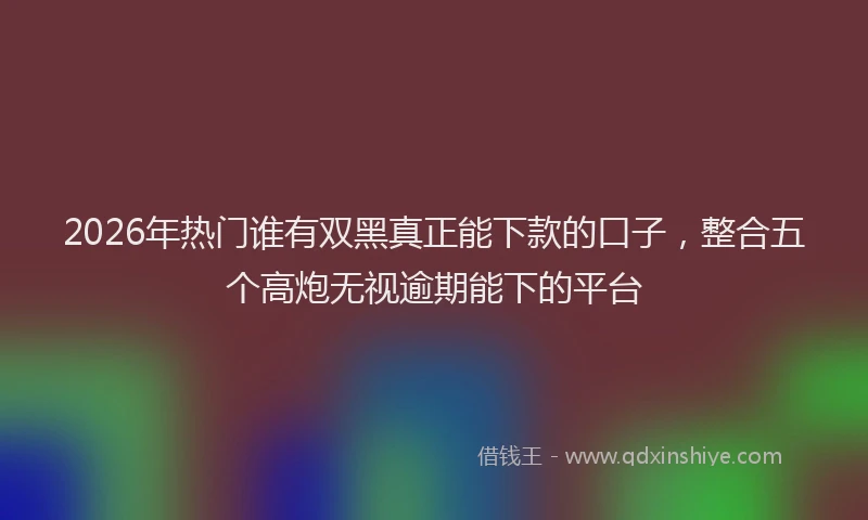 2026年热门谁有双黑真正能下款的口子,整合五个高炮无视逾期能下的平台
