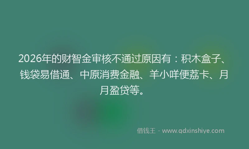 2026年的财智金审核不通过原因有：积木盒子、钱袋易借通、中原消费金融、羊小咩便荔卡、月月盈贷等。