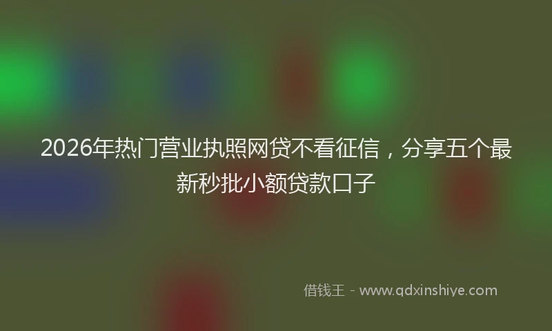 2026年热门营业执照网贷不看征信，分享五个最新秒批小额贷款口子