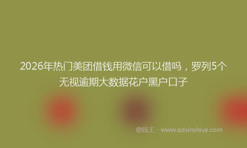 2026年热门美团借钱用微信可以借吗，罗列5个无视逾期大数据花户黑户口子