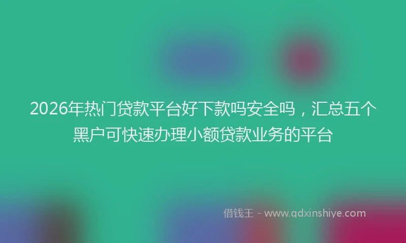2026年热门贷款平台好下款吗安全吗，汇总五个黑户可快速办理小额贷款业务的平台