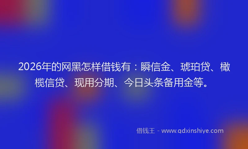 2026年的网黑怎样借钱有：瞬信金、琥珀贷、橄榄信贷、现用分期、今日头条备用金等。