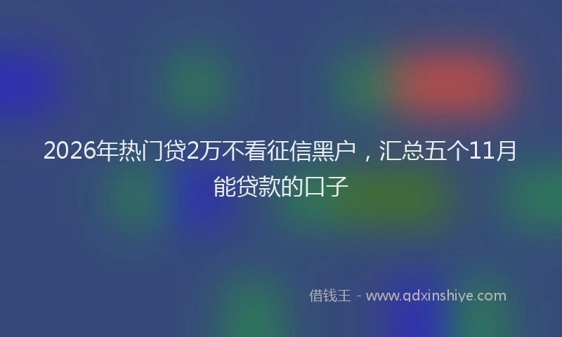 2026年热门贷2万不看征信黑户，汇总五个11月能贷款的口子