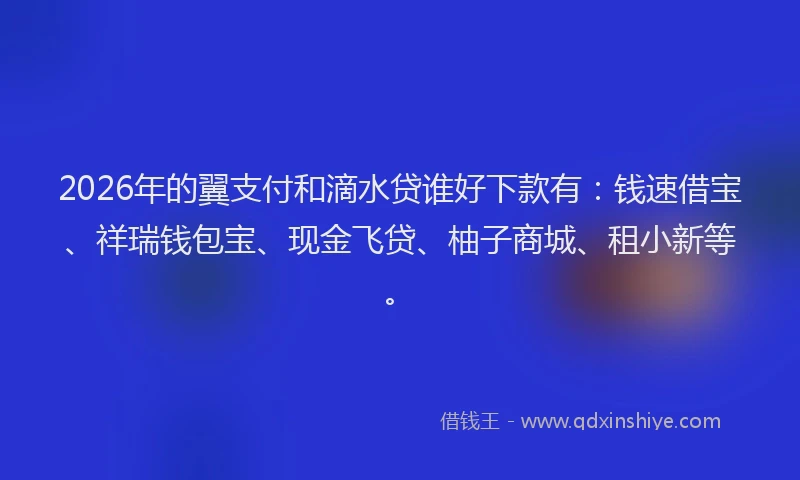 2026年的翼支付和滴水贷谁好下款有：钱速借宝、祥瑞钱包宝、现金飞贷、柚子商城、租小新等。