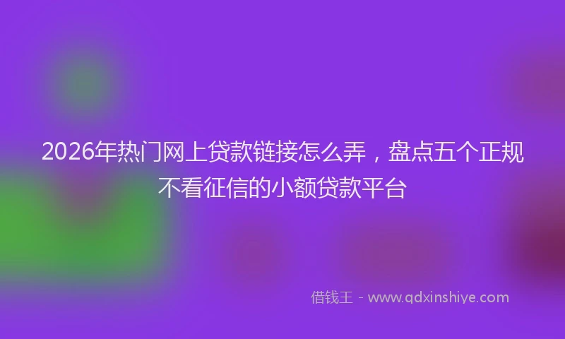 2026年热门网上贷款链接怎么弄，盘点五个正规不看征信的小额贷款平台