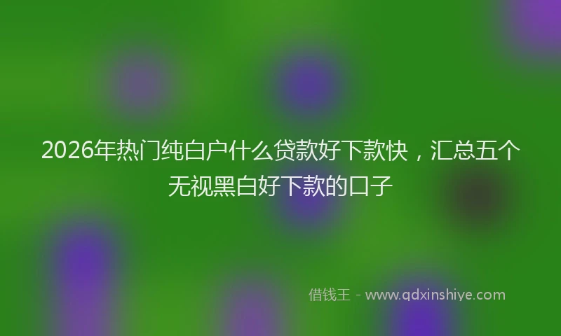 2026年热门纯白户什么贷款好下款快，汇总五个无视黑白好下款的口子