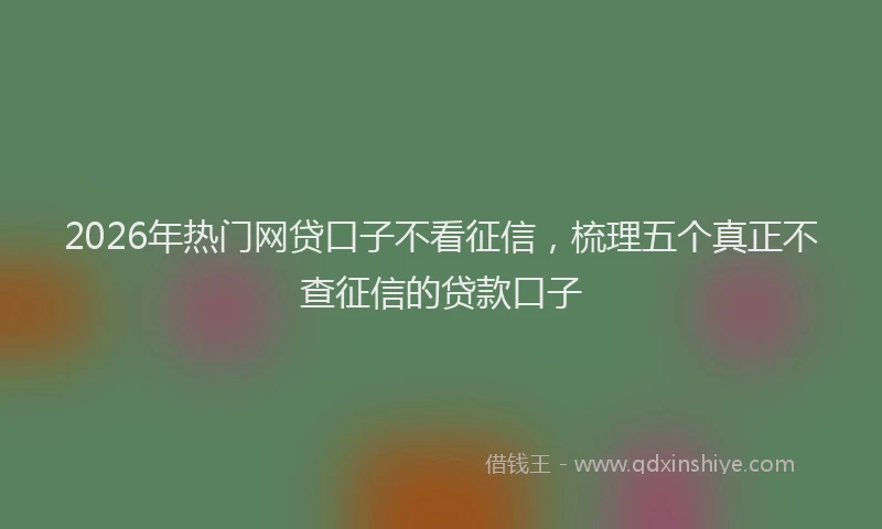 2026年热门网贷口子不看征信，梳理五个真正不查征信的贷款口子
