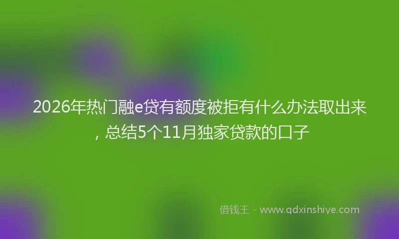 2026年热门融e贷有额度被拒有什么办法取出来，总结5个11月独家贷款的口子