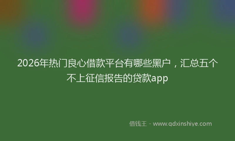 2026年热门良心借款平台有哪些黑户,汇总五个不上征信报告的贷款app