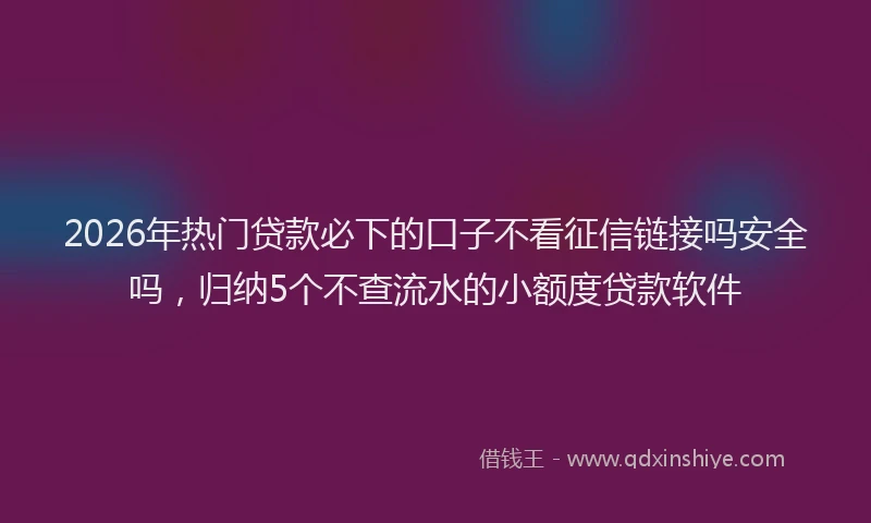 2026年热门贷款必下的口子不看征信链接吗安全吗，归纳5个不查流水的小额度贷款软件