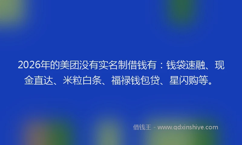 2026年的美团没有实名制借钱有：钱袋速融、现金直达、米粒白条、福禄钱包贷、星闪购等。