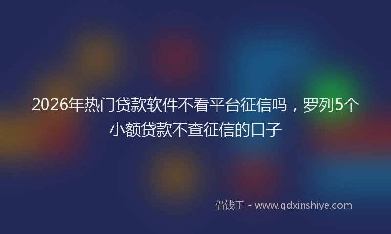 2026年热门贷款软件不看平台征信吗，罗列5个小额贷款不查征信的口子