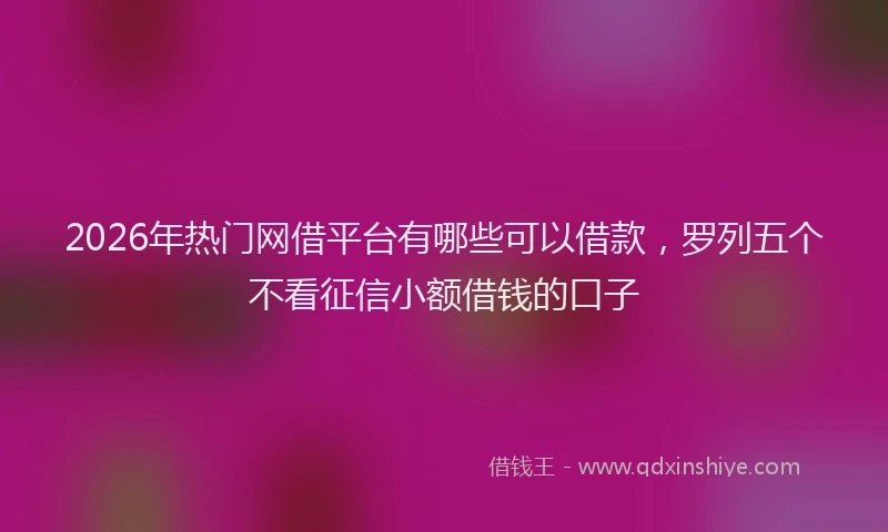 2026年热门网借平台有哪些可以借款，罗列五个不看征信小额借钱的口子