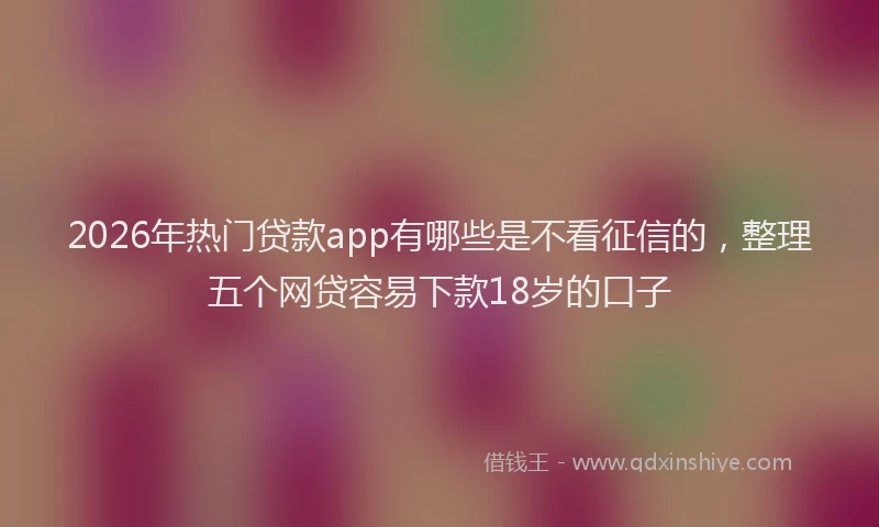 2026年热门贷款app有哪些是不看征信的，整理五个网贷容易下款18岁的口子
