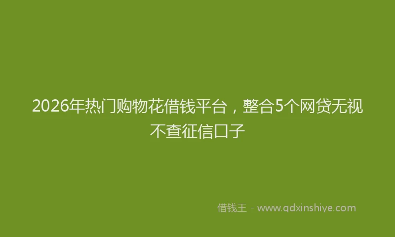 2026年热门购物花借钱平台，整合5个网贷无视不查征信口子