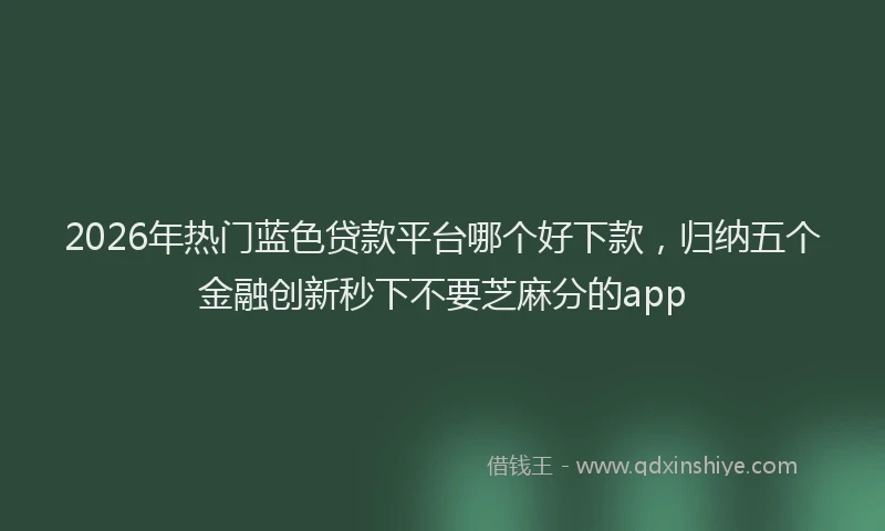 2026年热门蓝色贷款平台哪个好下款，归纳五个金融创新秒下不要芝麻分的app