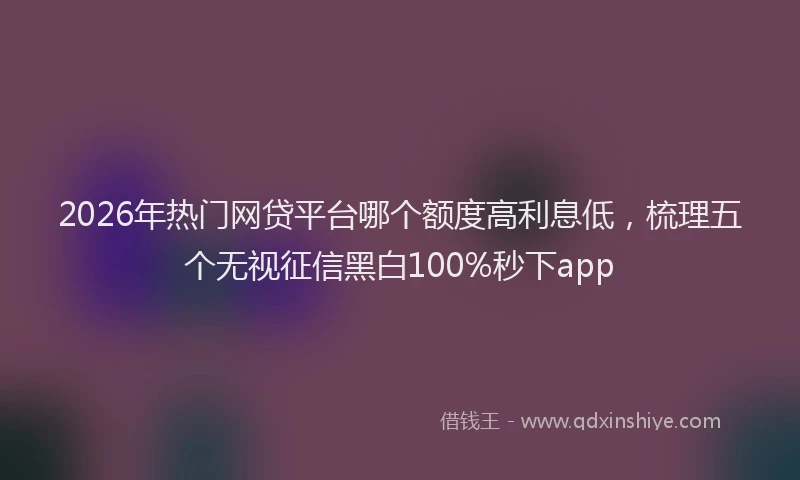2026年热门网贷平台哪个额度高利息低，梳理五个无视征信黑白100%秒下app