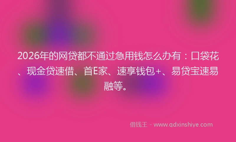 2026年的网贷都不通过急用钱怎么办有：口袋花、现金贷速借、首E家、速享钱包+、易贷宝速易融等。
