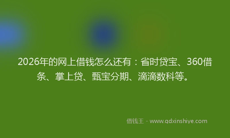 2026年的网上借钱怎么还有：省时贷宝、360借条、掌上贷、甄宝分期、滴滴数科等。