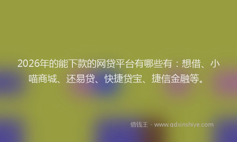 2026年的能下款的网贷平台有哪些有:想借、小喵商城、还易贷、快捷贷宝、捷信金融等。