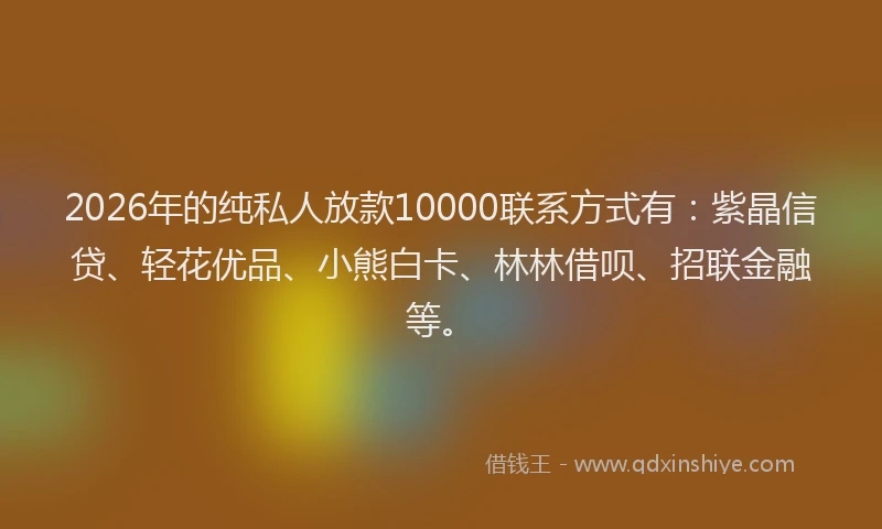 2026年的纯私人放款10000联系方式有：紫晶信贷、轻花优品、小熊白卡、林林借呗、招联金融等。