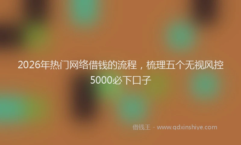 2026年热门网络借钱的流程，梳理五个无视风控5000必下口子