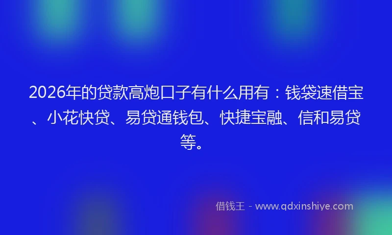 2026年的贷款高炮口子有什么用有：钱袋速借宝、小花快贷、易贷通钱包、快捷宝融、信和易贷等。