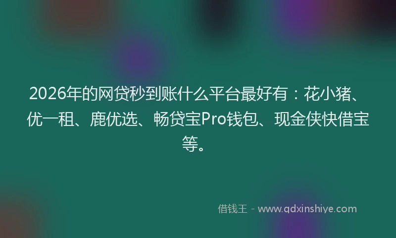 2026年的网贷秒到账什么平台最好有：花小猪、优一租、鹿优选、畅贷宝Pro钱包、现金侠快借宝等。
