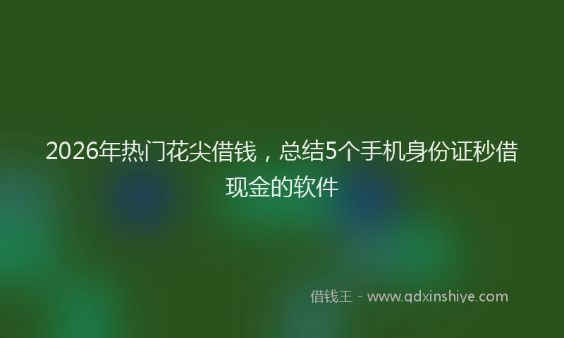 2026年热门花尖借钱，总结5个手机身份证秒借现金的软件