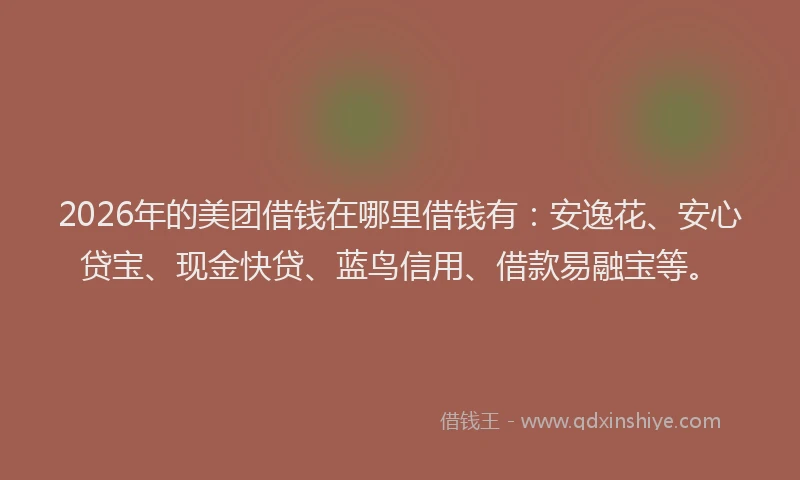 2026年的美团借钱在哪里借钱有：安逸花、安心贷宝、现金快贷、蓝鸟信用、借款易融宝等。