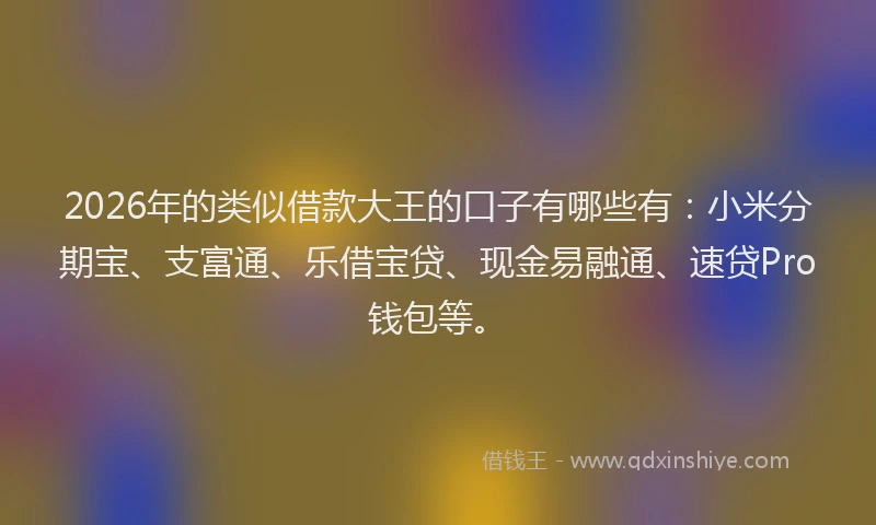 2026年的类似借款大王的口子有哪些有：小米分期宝、支富通、乐借宝贷、现金易融通、速贷Pro钱包等。