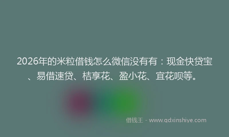 2026年的米粒借钱怎么微信没有有:现金快贷宝、易借速贷、桔享花、盈小花、宜花呗等。