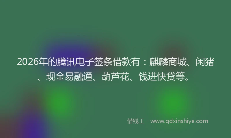 2026年的腾讯电子签条借款有:麒麟商城、闲猪、现金易融通、葫芦花、钱进快贷等。