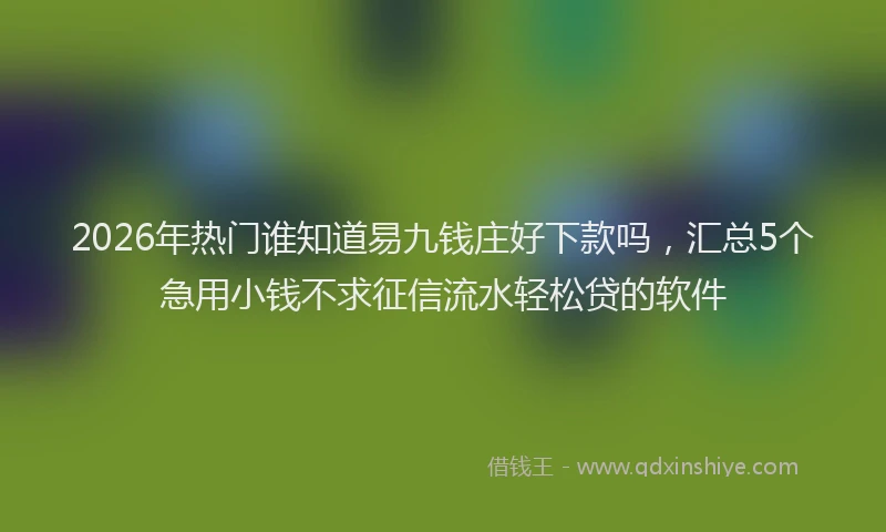 2026年热门谁知道易九钱庄好下款吗，汇总5个急用小钱不求征信流水轻松贷的软件