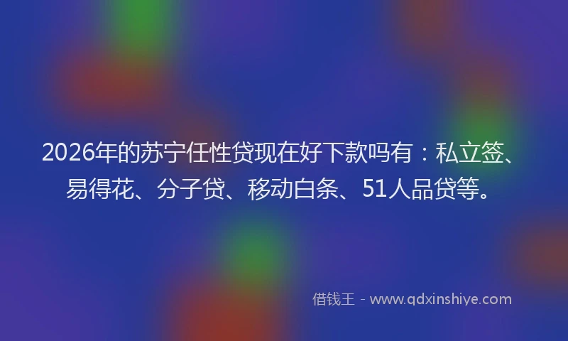 2026年的苏宁任性贷现在好下款吗有：私立签、易得花、分子贷、移动白条、51人品贷等。