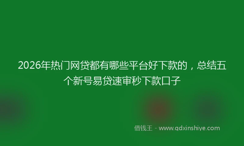 2026年热门网贷都有哪些平台好下款的，总结五个新号易贷速审秒下款口子
