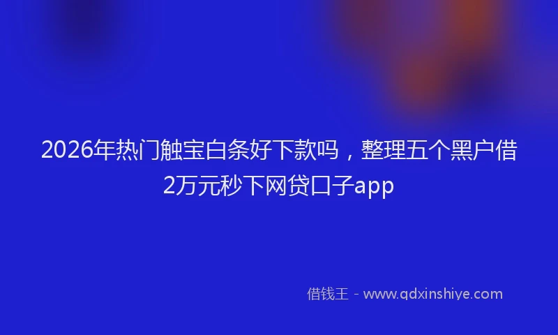 2026年热门触宝白条好下款吗,整理五个黑户借2万元秒下网贷口子app