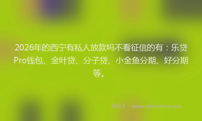 2026年的西宁有私人放款吗不看征信的有：乐贷Pro钱包、金叶贷、分子贷、小金鱼分期、好分期等。