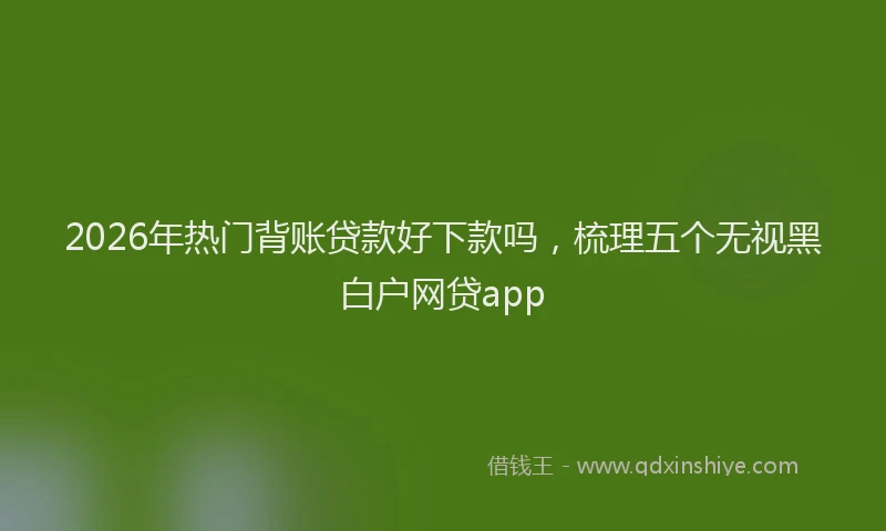 2026年热门背账贷款好下款吗，梳理五个无视黑白户网贷app