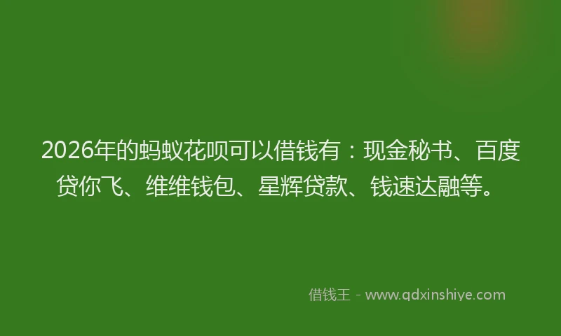2026年的蚂蚁花呗可以借钱有：现金秘书、百度贷你飞、维维钱包、星辉贷款、钱速达融等。