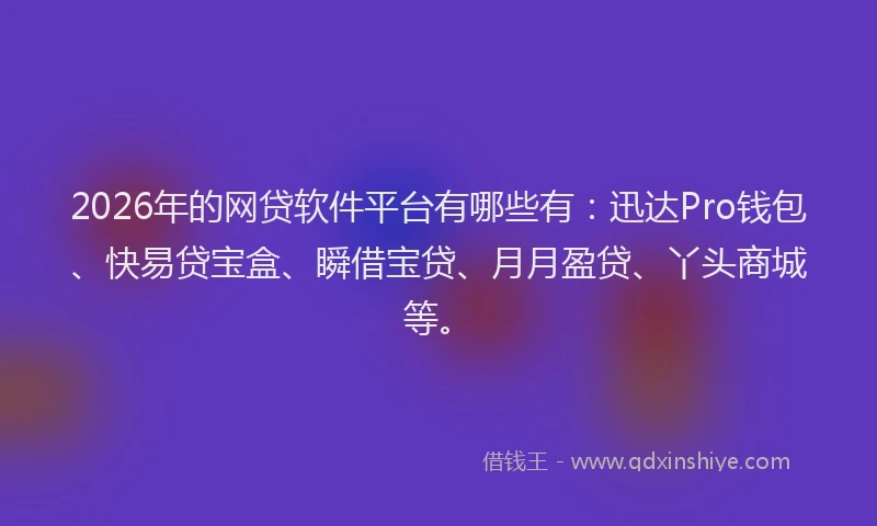2026年的网贷软件平台有哪些有：迅达Pro钱包、快易贷宝盒、瞬借宝贷、月月盈贷、丫头商城等。