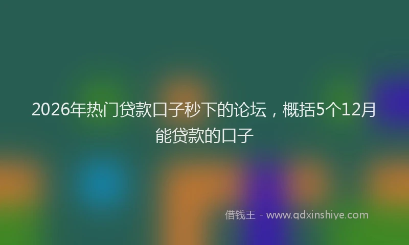2026年热门贷款口子秒下的论坛，概括5个12月能贷款的口子