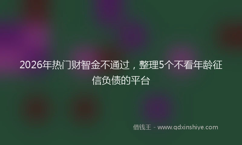 2026年热门财智金不通过,整理5个不看年龄征信负债的平台