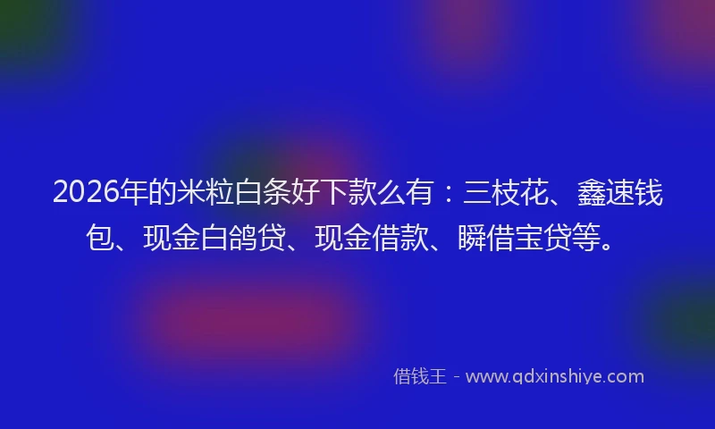 2026年的米粒白条好下款么有：三枝花、鑫速钱包、现金白鸽贷、现金借款、瞬借宝贷等。