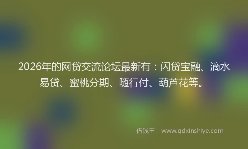 2026年的网贷交流论坛最新有：闪贷宝融、滴水易贷、蜜桃分期、随行付、葫芦花等。