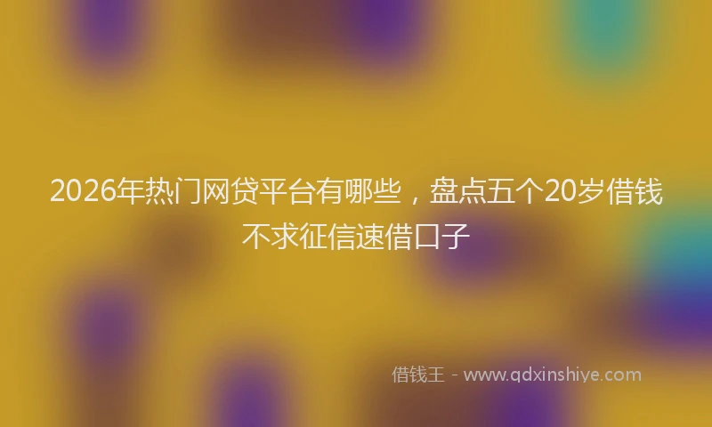 2026年热门网贷平台有哪些，盘点五个20岁借钱不求征信速借口子