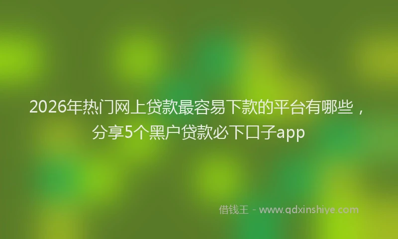 2026年热门网上贷款最容易下款的平台有哪些，分享5个黑户贷款必下口子app